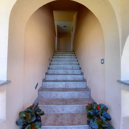 Stela شقة راب